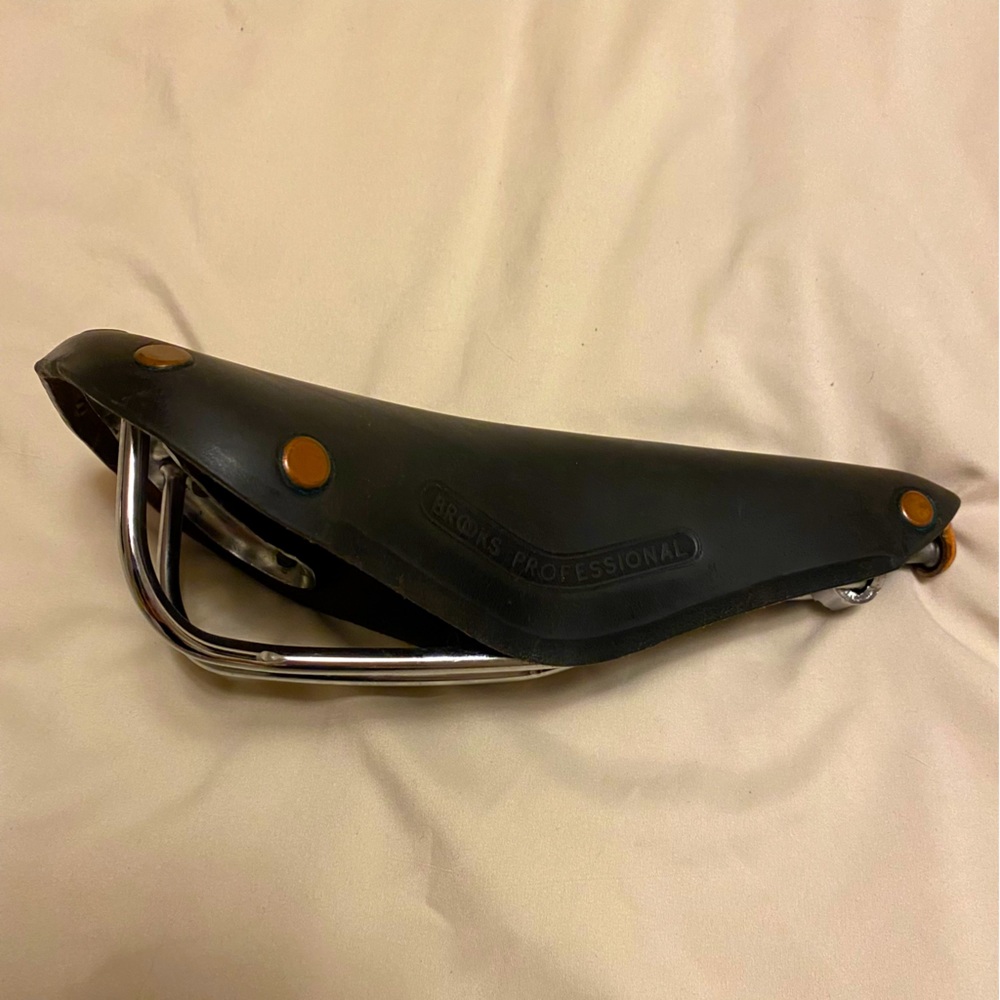 Brooks Professional B17 Special - Brass Rivets